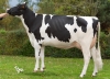DOSE TAUREAU REVAUX PP - NFR4475373052 - 6697639