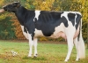 DOSE TAUREAU UVIC RF PP - NFR4929370805 - 66A2697