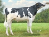 DOSE TAUREAU UGOWEST RF - NFR5356775506 - 66A2848