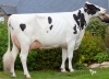DOSE TAUREAU SAMOS PP - NFR5632668567 - 6698777