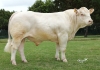 DOSE TAUREAU ODRISCOL P - NFR5706310971 - 3895922