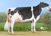 DOSE TAUREAU LIWAY SIL - NFR6414474240 - 6690045