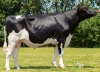 DOSE TAUREAU ORLANDO P - NFR6414658022 - 6693219