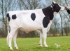 DOSE TAUREAU MARWYN - NFR6510565613 - 6691015