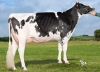 DOSE TAUREAU ODEBBYJO P - NFR6951026804 - 6694667