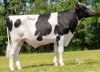 DOSE TAUREAU ODEBBYJO P - NFR6951026804 - 6694667