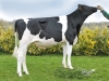 DOSE SEXEE FEM 90 TAUREAU OHEME - XFR7253843039 - 6693040