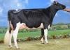 DOSE SEXEE FEM 90 TAUREAU OHEME - XFR7253843039 - 6693040