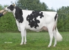 DOSE TAUREAU REVALUE - NFR7261295436 - 6697725