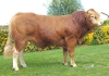 DOSE TAUREAU PRINCIER - NFR7265350905 - 3496779