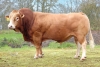 DOSE TAUREAU PRINCIER - NFR7265350905 - 3496779