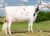 DOSE TAUREAU TIDJO - NFR7923161793 - 66A0744