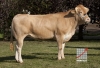 DOSE TAUREAU ARGUS - NFR7959242210 - 7969372