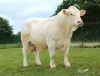 DOSE TAUREAU ORIFLAM PP - NFR8069467335 - 3895925