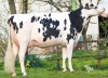 DOSE TAUREAU ODRISCOL - NFR8160098071 - 6694727