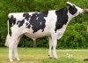 DOSE TAUREAU NAPALM RF - NFR8843756536 - 6692280