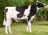 DOSE TAUREAU PREVIEW PP - NFR8844169487 - 6696291