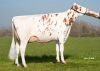 DOSE TAUREAU FREEST RED - NNL000574590532 - 6697153