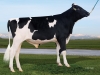 DOSE TAUREAU ESCAPE PK - NUS003220463970 - 66A0470