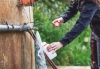 Analyse de la qualité de l'eau des puits, forages et sources
