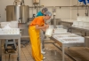 Conseil en process de fabrication et nouveaux produits laitiers fermiers
