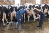 Conseil en santé des pieds et boiteries