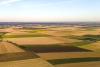 Réduire les pesticides sur son exploitation à travers l'IFT : approfondissement (MAEC 23-27)
