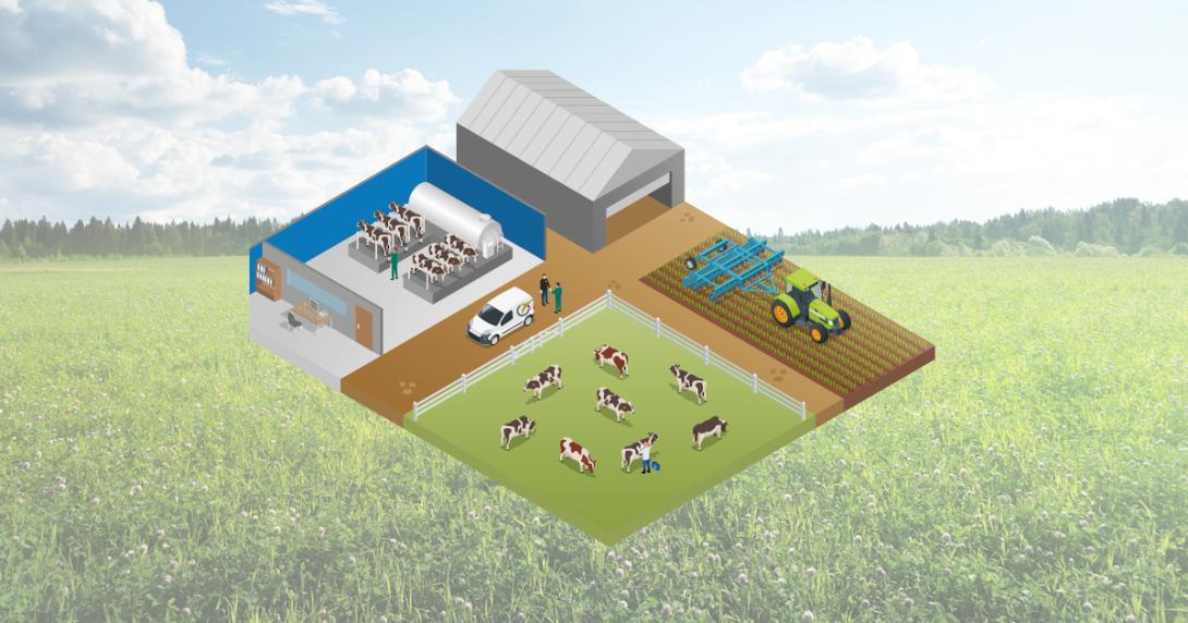 Infographie production laitière