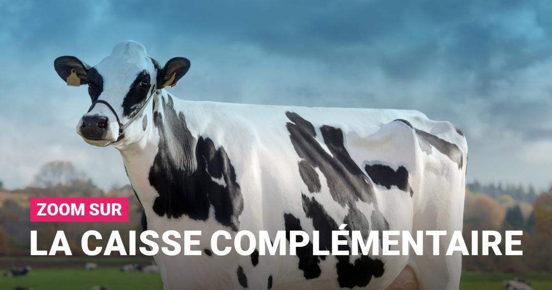 Caisse Complémentaire