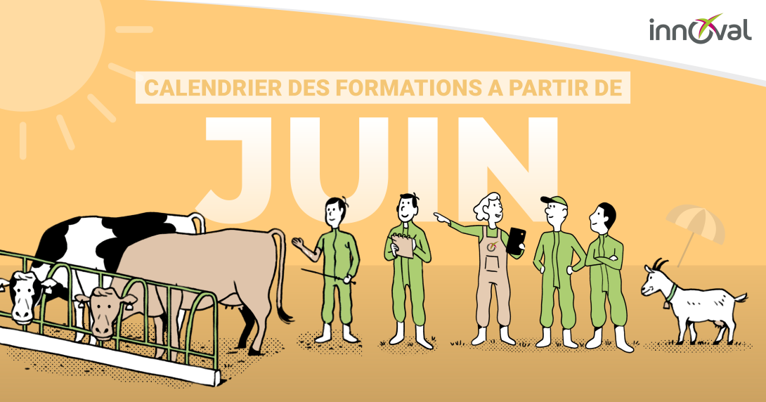 Juin formation