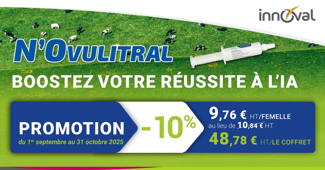 N'Ovulitral : boostez votre réussite à l'IA ! 