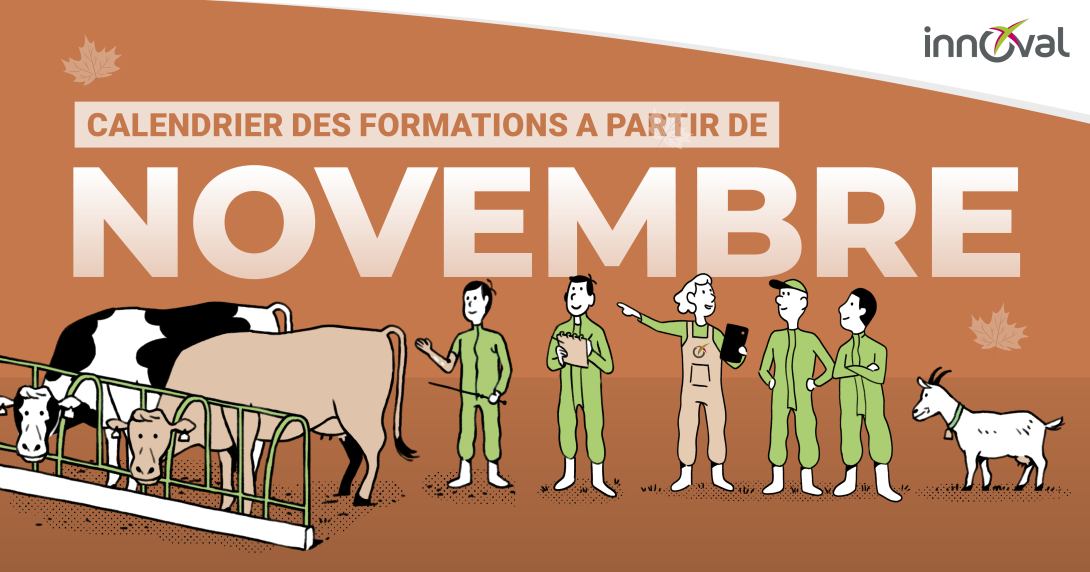 novembre 2025 