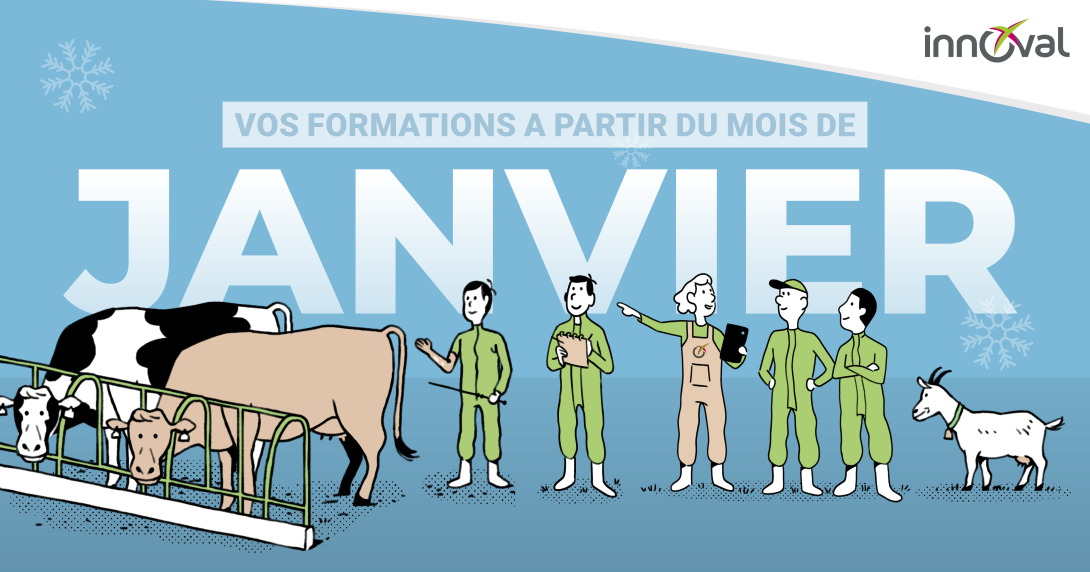 Découvrez toutes les formations qui vous sont proposées par Innoval au mois de janvier 2026