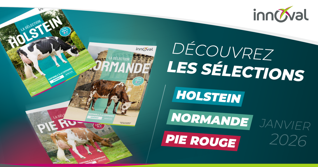 Les sélections arrivent en ferme !