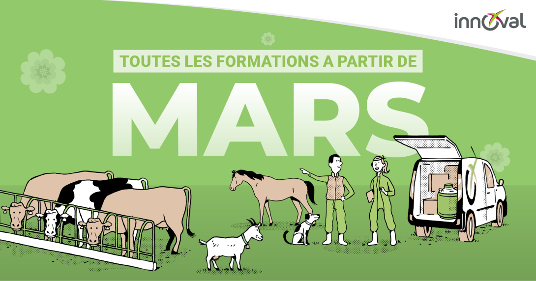 Découvrez toutes les formations qui vous sont proposées par Innoval au mois de mars 2026