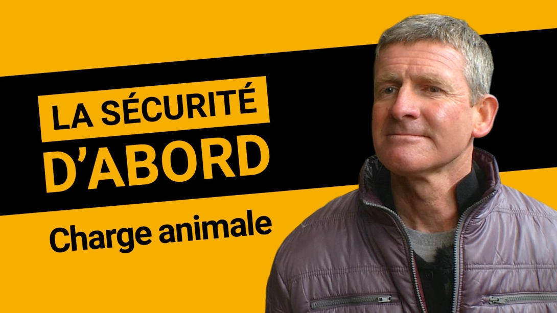 La sécurité d’abord #3 - La charge animale 2