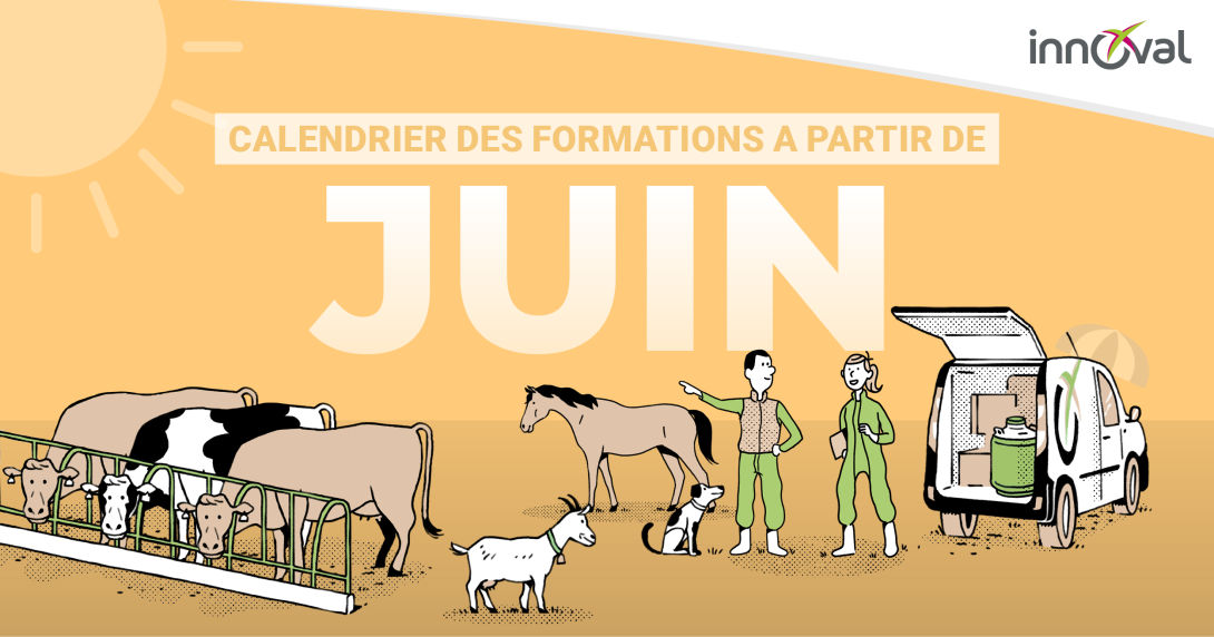 formations juin 2026