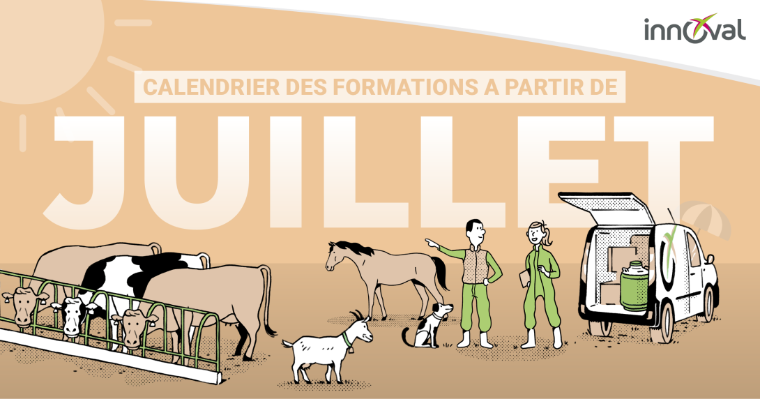 Découvrez toutes les formations qui vous sont proposées par Innoval au mois de juillet 2026