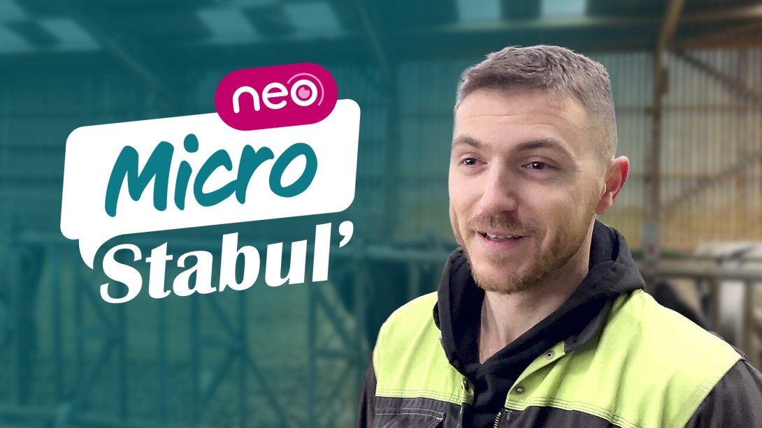  Micro-Stabul' #5 NEO (2/2)