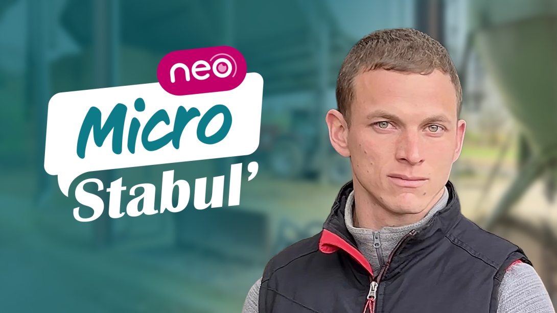 Micro-Stabul' #5 Neo (1/2)