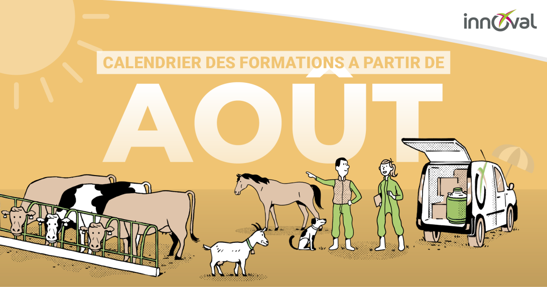 Découvrez toutes les formations qui vous sont proposées par Innoval au mois d'aout 2026