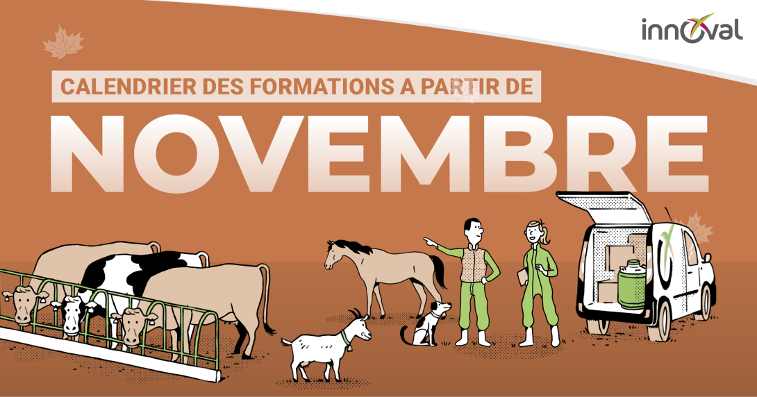 Découvrez toutes les formations qui vous sont proposées par Innoval au mois de novembre 2026